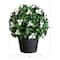 15in. UV Resistant Artificial Boxwood and Gardenia Topiary Plant (Indoor/Outdoor)